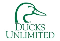 ducksunlim