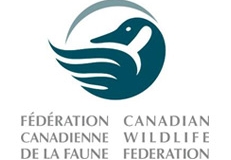 wildlifefederation